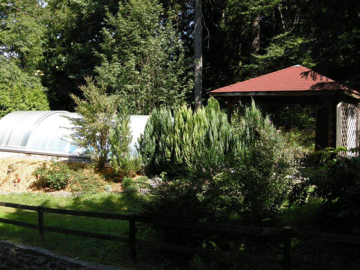 Villa Angelika Altenberg Exterior photo