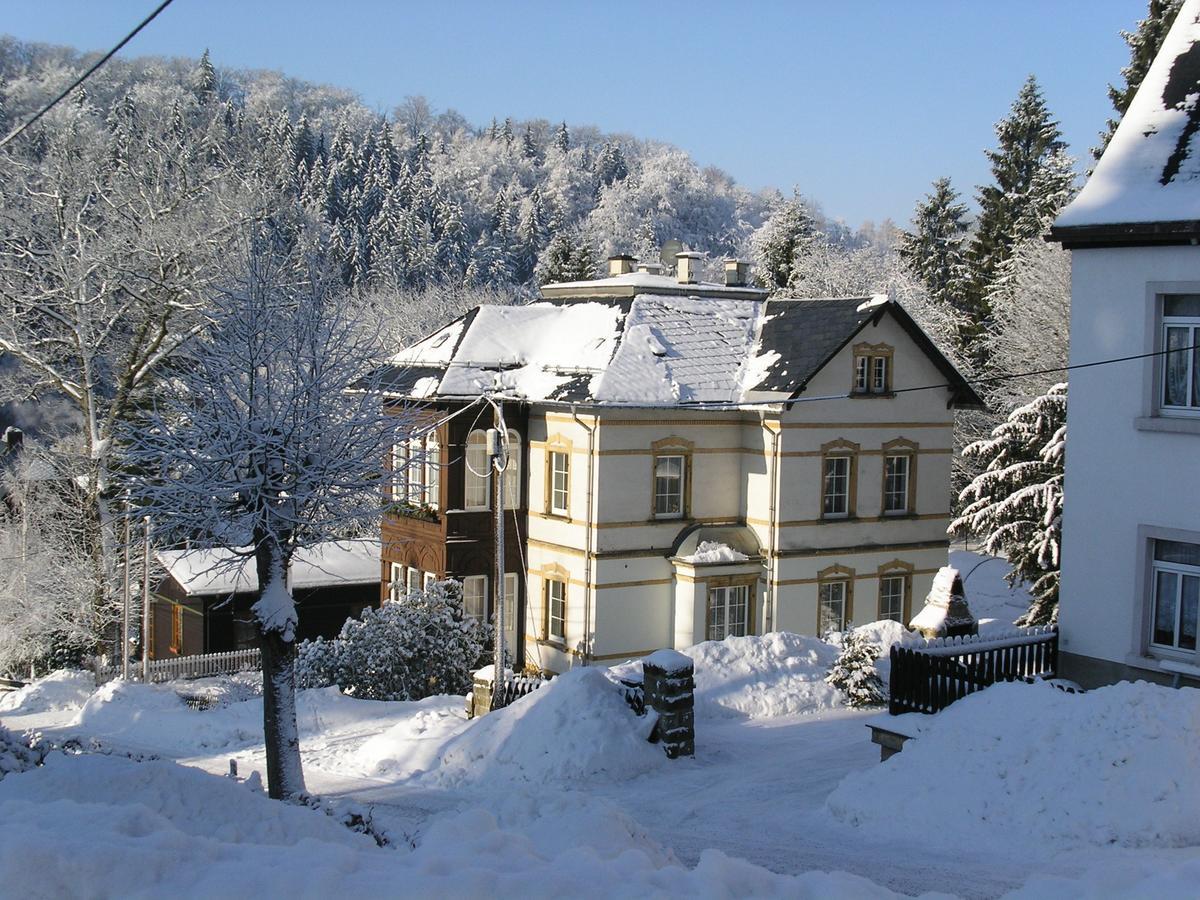 Villa Angelika Altenberg Exterior photo